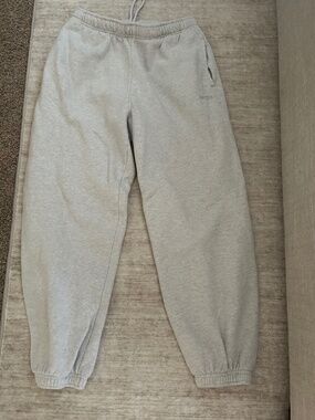 Aritzia sweatpants